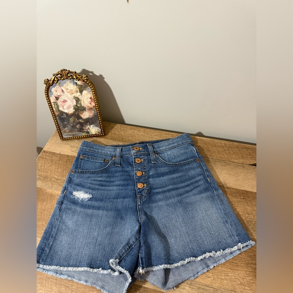 J. Crew Blue Denim Women's Shorts